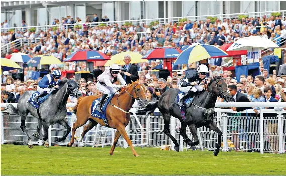 Revamp of historic yard is putting Epsom back on the training map ...