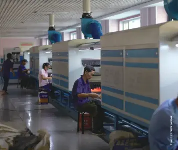  ??  ?? Workers at a shoe factory in Pyongyang, North Korea