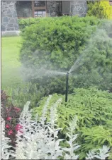  ??  ?? When Island Wide Irrigation installs a sprinkler system in your property, you will have no worries about keeping your garden regularly supplied with water.