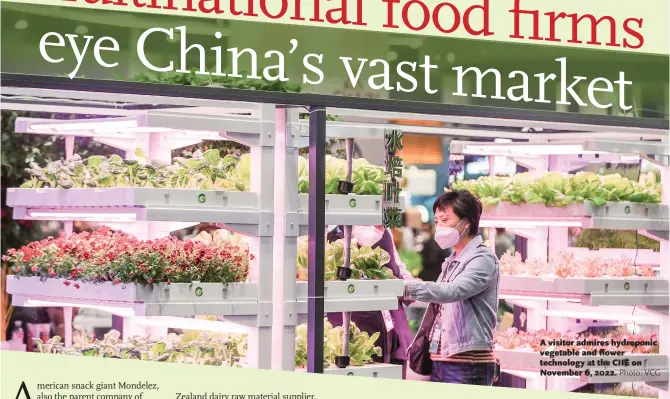  ?? Photo: VCG ?? A visitor admires hydroponic vegetable and flower technology at the CIIE on November 6, 2022.