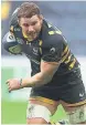  ??  ?? PROMOTED: Wasps flanker Thomas Young broke into the Wales squad a fortnight ago