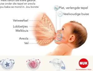  ??  ?? Lobbetjies Melkbuis Vetweefsel Areola Vel Veelvoudig­e buise Plat, verlengde tepel