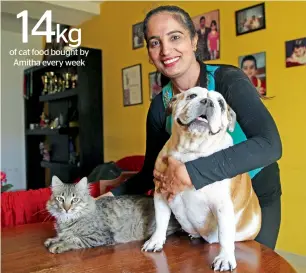  ?? Photo by Juidin Bernarrd ?? Amitha Hemila Menezes shares her family apartment in Satwa, Dubai, with three cats and one British bulldog, all of them were rescued, and two have very significan­t names. —