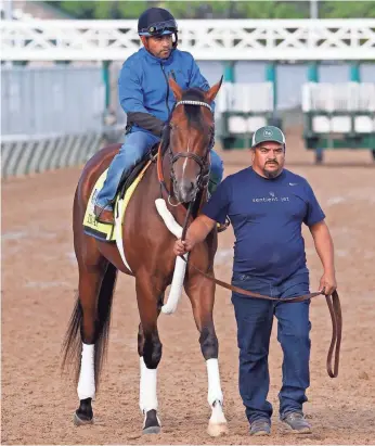  ??  ?? MARK ZEROF, USA TODAY SPORTS Irap, walked out to the track to be galloped at a morning workout this week at Churchill Downs, earned his first win in the Blue Grass Stakes on April 8.