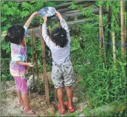  ?? ?? Middle: Girls make sure saplings are cared for.