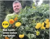  ??  ?? Rob Smith loves Indian marigolds!