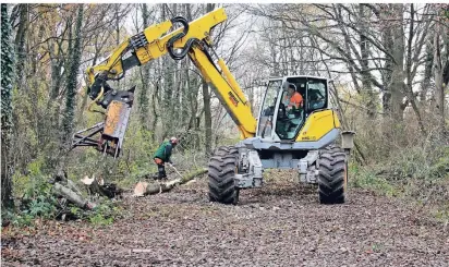  ?? FOTO: UWE MISERIUS ?? Der Weg zum Bahnhof Opladen ist frei. Die TBL hat den letzten Trassenabs­chnitt gerodet.