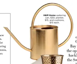  ??  ?? H&amp;M Home watering can, $30, planter, $15, and cushions,$15 each.