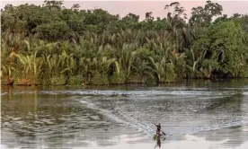  ??  ?? A man paddles a canoe on the Sepik River in Papua New Guinea Photograph: Renato Granieri/Alamy