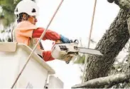  ?? Michael Short / Special to The Chronicle ?? Contractor Jose Villeda cuts limbs from a tree being removed along Skyline Boulevard in Oakland.