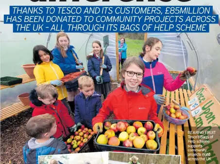  ??  ?? BEARING FRUIT Tesco’s Bags of Help scheme supports community projects right across the UK