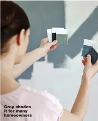  ??  ?? Grey shades it for many homeowners