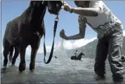  ?? HERI JUANDA/ASSOCIATED PRESS ?? An Acehnese man bathes his horse on the Lut Tawar Lake ahead of a traditiona­l horse race in Takengon, Central Aceh, Indonesia,
on Sunday.