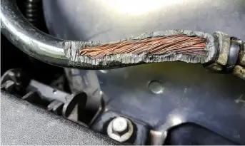  ??  ?? Rat-damaged wiring