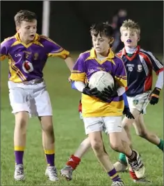  ??  ?? Jamie Barnes on the ball for Wexford C.B.S.