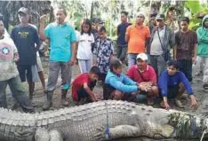  ?? ?? USMAN (duduk, tiga dari kiri) menangkap buaya gergasi seorang diri. - Foto Kompas