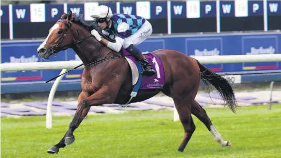  ?? Picture / NZ Racing Desk ?? Qiji Phoenix has drawn very wide for his Australian debut in tomorrow’s A$250,000 Sires Produce Stakes at Eagle Farm.