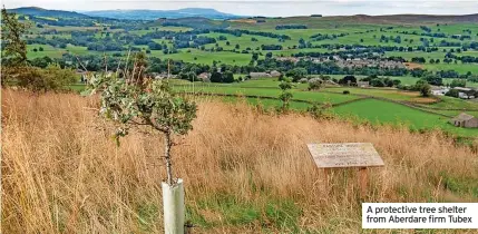  ?? ?? A protective tree shelter from Aberdare firm Tubex