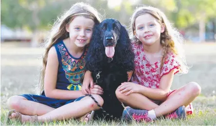  ?? Picture: STEVE POHLNER ?? Sienna, 8, and Zara, 6, with Marley who had been deemed too ‘malodorous’ to ride a highrise lift.