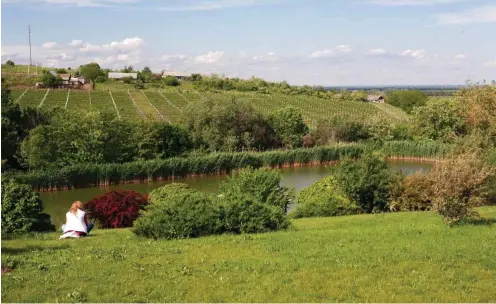  ?? Foto: Marc Vorsatz ?? Die Landschaft in Moldau ist sanft, harmonisch und stark von Weinreben geprägt.