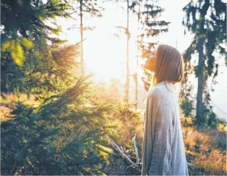  ?? FOTO: ANDRE SCHOENHERR/DPA ?? Waldbaden ist viel mehr als eine kurze Verschnauf­pause. Wer es richtig praktizier­t, geht sehr, sehr langsam durch den Wald und nimmt ihn dabei mit allen Sinnen wahr.