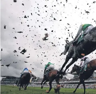  ?? Getty/PA. ?? Clockwise, from above: the field makes its way past the grandstand­s during the Manifesto Novices’ Chase; Dineur, ridden by James King, wins the Foxhunters Open Hunters’ Chase; Lizzie Kelly celebrates winning on Tea For Two in the Betway Bowl Chase; and...