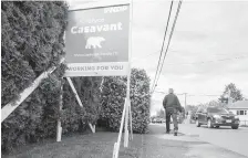  ??  ?? Oak Bay-Gordon Head NDP candidate Bryce Casavant says the bear on his signs reflects his studies in wildlife policies and the party’s opposition to grizzly trophy hunting.