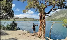  ?? Photo by Wendilyn Grasseschi ?? Although places like Gull Lake are not open for fishing or swimming while the Inyo National Forest is closed, there are many other recreation options in the Eastern Sierra.