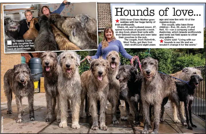 Hounds of love PressReader