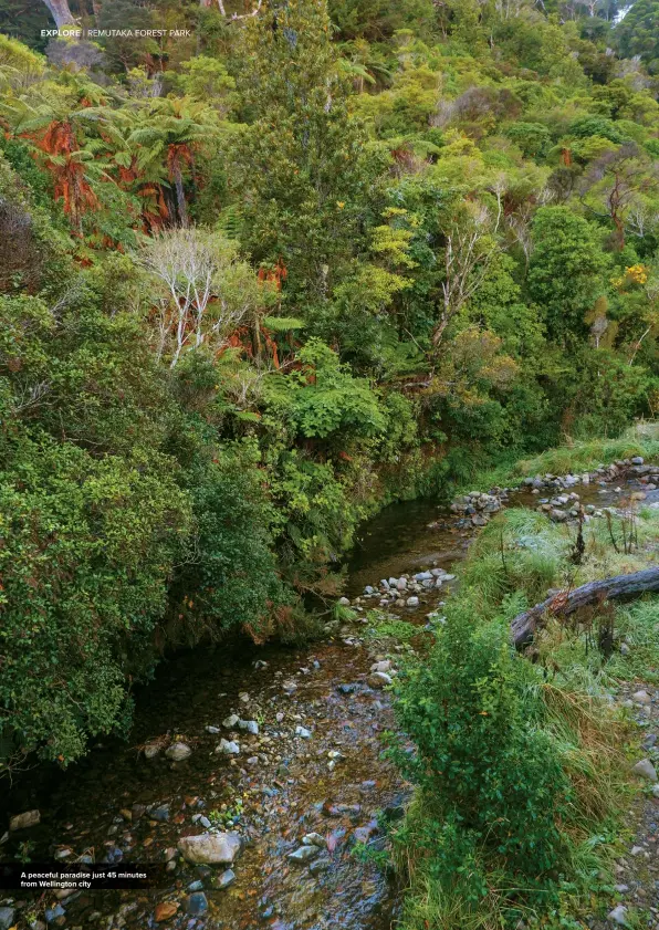  ??  ?? A peaceful paradise just 45 minutes from Wellington city