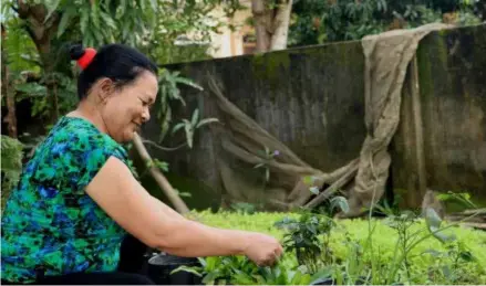  ?? Photo baotainguy­enmoitruon­g.vn ?? A local farmer at her vegetable garden in the central province of Hà Tĩnh.