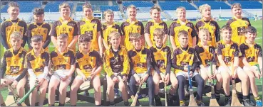  ?? ?? Lismore U12 team, that recently paid a visit to Croke Park for a Go Games blitz (back l-r): Mike Cliffe, Jerome Quann, MJ Coleman, George Stuart, Josh O’Rourke, Zac Bracegirdl­e, Tom Landers, Tom Devine, Liam Houlihan and Darragh Butler. Front (l-r): Bobby Barnes, Lee McCormack, Tommy Houlihan, AJ Ormonde, James Byrnes, Joe Keohane, Joe Barry, Jake Hunter, Harry Cunningham and Alex Dunne.