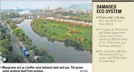 ?? HT FILE ?? Mangroves act as a buffer zone between land and sea. The green cover protects land from erosion.