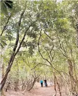  ??  ?? The New River Gorge National Park and Preserve has hikes for almost everyone — gentle, shaded trails with scenic overlooks or mega-milers for the more adventurou­s.