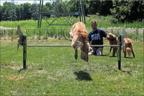  ?? KRISTI GARABRANDT — THE NEWS-HERALD ?? Frank Kolk visits the upgraded dog park in Eastlake with his dogs Chase and Ilene. The dog park was recently upgraded with new agility equipment obtained from the Bark for your Park PetSafe grant.