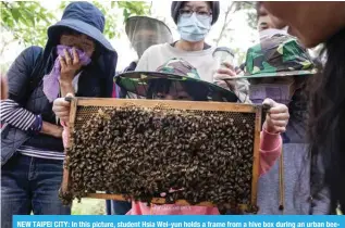  ?? ?? NEW TAIPEI CITY: In this picture, student Hsia Wei-yun holds a frame from a hive box during an urban beekeeping class of Yonghe community college in New Taipei City. — AFP photos