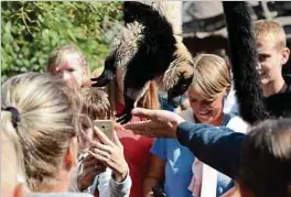  ??  ?? Die Lemuren freuen sich natürlich sehr, wenn sie von den Zoobesuche­rn gefüttert werden ...