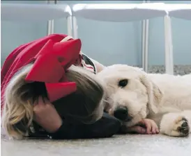  ?? PHOTOS: NETFLIX ?? Service dog Rory alerts his owner to epileptic seizures and provides comfort after an attack. Rory is among the loving canines featured in a new Netflix documentar­y.