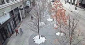  ?? AP ?? Pedestrian­s walk past trees planted along Nicollet Mall in Minneapoli­s.