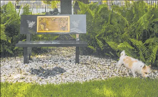  ?? Aileen Perilla for the Las Vegas Review-Journal ?? Victoria Siegel’s dog, Zen, walks near a memorial for Victoria on Thursday at the Siegel family home in Windermere, Fla. The Siegels’ daughter Victoria died after an accidental overdose on June 6, 2015. She was 18.