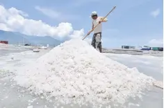  ??  ?? A worker sorts salt at a salt field at Talise village in Palu, Indonesia. With more than 50,000 km (31,000 miles) of coastline Indonesia is surrounded by salt water, and yet it spends tens of millions of dollars every year on imports of salt. — Antara...