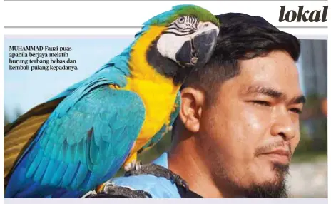  ?? ?? MUHAMMAD Fauzi puas apabila berjaya melatih burung terbang bebas dan kembali pulang kepadanya.