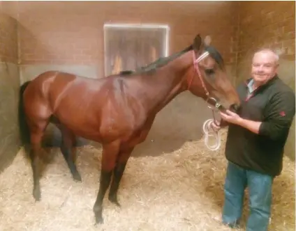  ??  ?? STABLE STAR. Mike de Kock with three-year-old Soqrat, the horse he feels could be the leading runner for them this season.