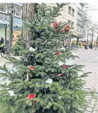  ?? ?? Die rot-weißen Schleifen wurden von der ZIN aufgehängt.