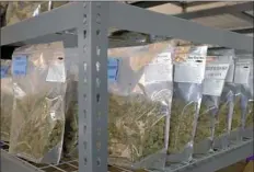  ?? Matthew Staver/Bloomberg ?? Bags of marijuana sit on shelves in a building at the Los Suenos Farms facility in Avondale, Colo. Denver is planning to commit a share of the tax collection­s from the sale of legal marijuana to building affordable housing, an increasing­ly scarce...