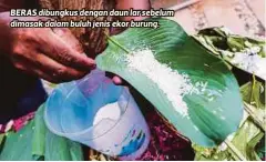  ??  ?? BERAS dibungkus dengan daun lar sebelum dimasak dalam buluh jenis ekor burung.