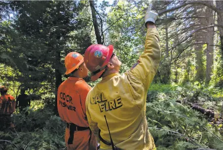  ?? Photos by Santiago Mejia / The Chronicle ?? Above: Mike Kidwell of Cal Fire at Empire Mine state park in Grass Valley instructs inmates from Washington Ridge how to thin foliage.