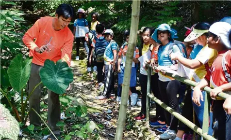  ??  ?? Ong, founder of the Rimba Project, leading a school nature education programme at the Rimba Ilmu Botanic Garden, Universiti Malaya.