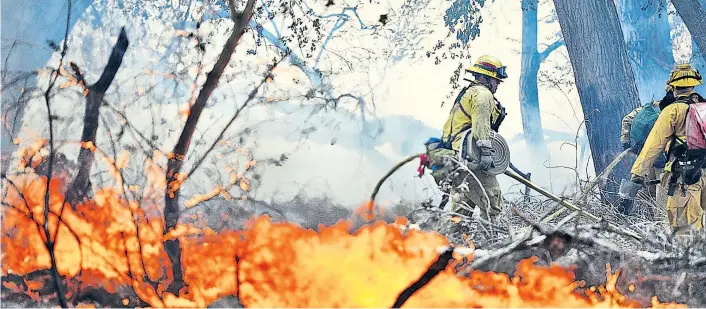  ??  ?? Wenn der Wald einmal in Flammen steht, dann braucht es eine eingeübte Krisenreak­tion. Und die gibt es nur, wenn Sicherheit­skräfte ihre Hausaufgab­en vorher gemacht haben.