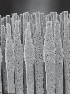  ?? Foto: Sandra Hansen ?? Silizium-Nanodrähte für Batterien unter dem Mikroskop
